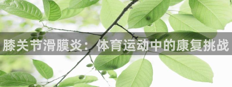 斗体育投屏版：膝关节滑膜炎：体育运动中的康复挑战