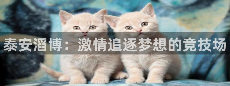 斗体育投屏版