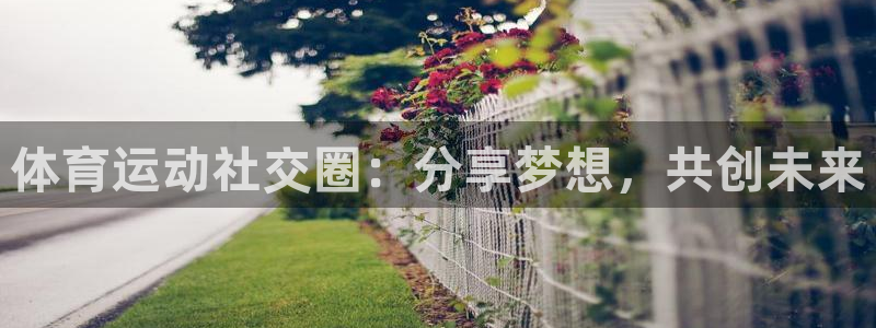 斗体育篮球直播：体育运动社交圈：分享梦想，共创未来