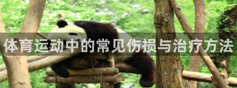 斗体育小鱼：体育运动中的常见伤损与治疗方法