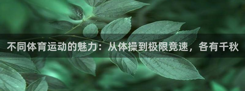 斗体育投屏版：不同体育运动的魅力：从体操到极限竞速，各有千秋